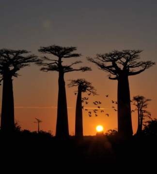 Madagaskar Rundreise – Natur, Abenteuer & Lemuren